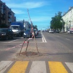 Дерево на Удмуртской в Ижевске